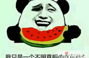 娱乐吃瓜酱聊天梗,吃瓜酱聊天梗背后的故事